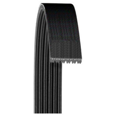 Serpentine Belt by DAYCO - 5061373 01